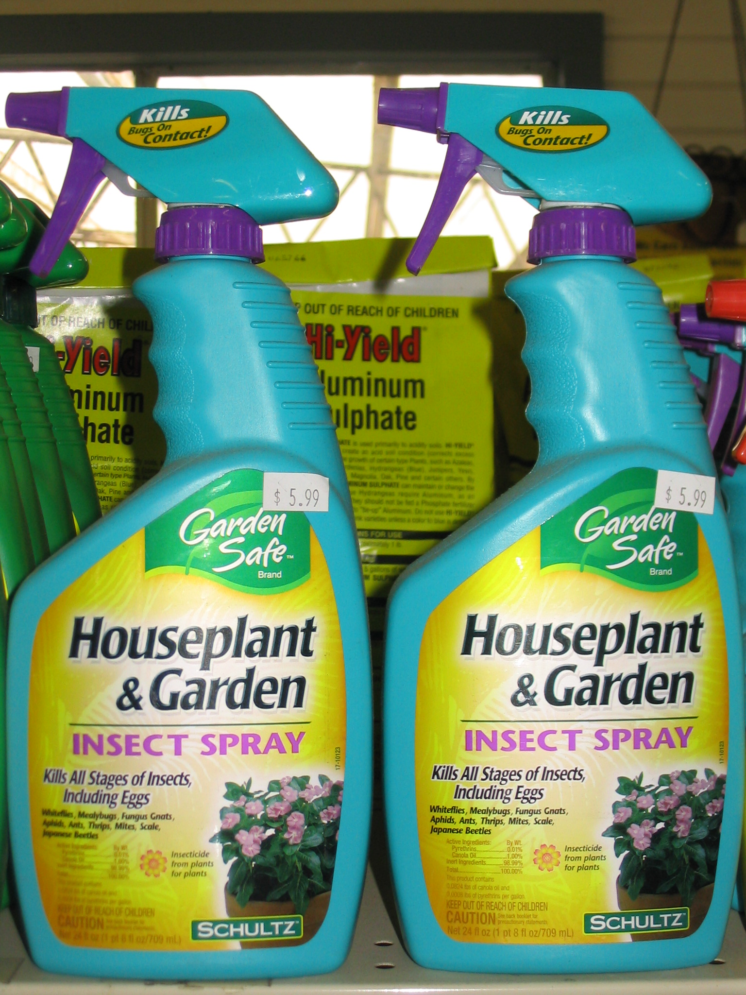 Control pests on indoor plants 